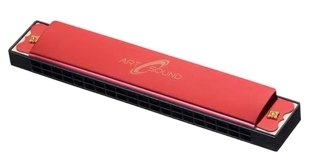 Gaita 20 vozes diversas cores