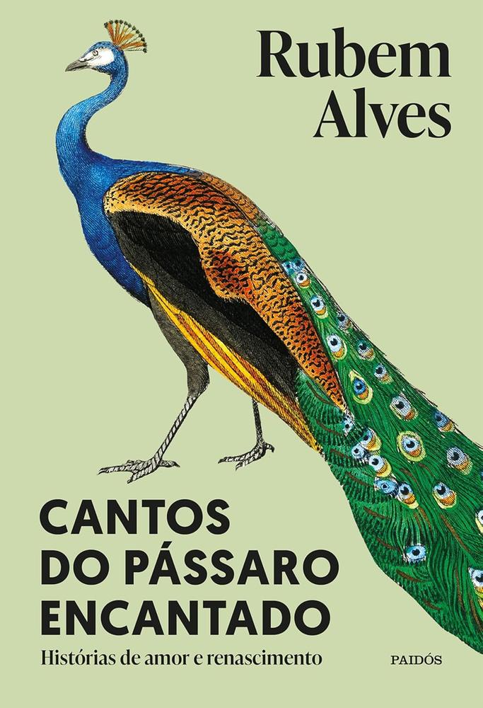 Imagem de CANTOS DO PASSARO ENCANTADO - PAIDOS