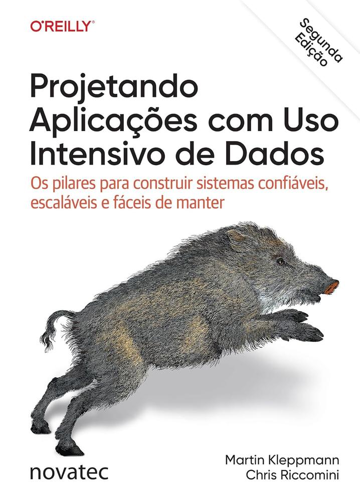 Imagem de PROJETANDO APLICACOES COM USO INTENSIVO DE DADOS - NOVATEC
